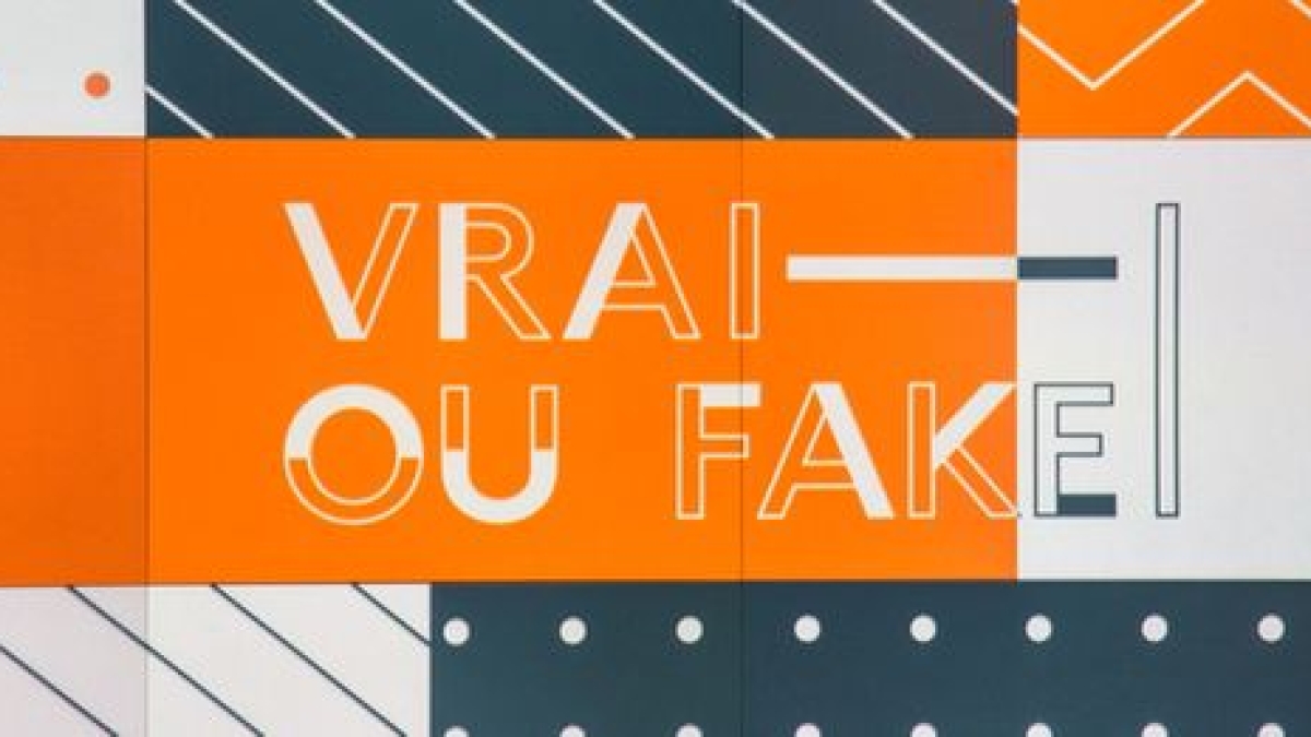 Vrai ou Fake vrai ou fake
