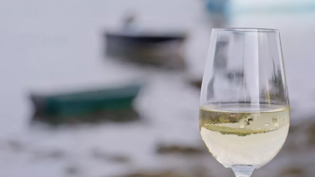 vins