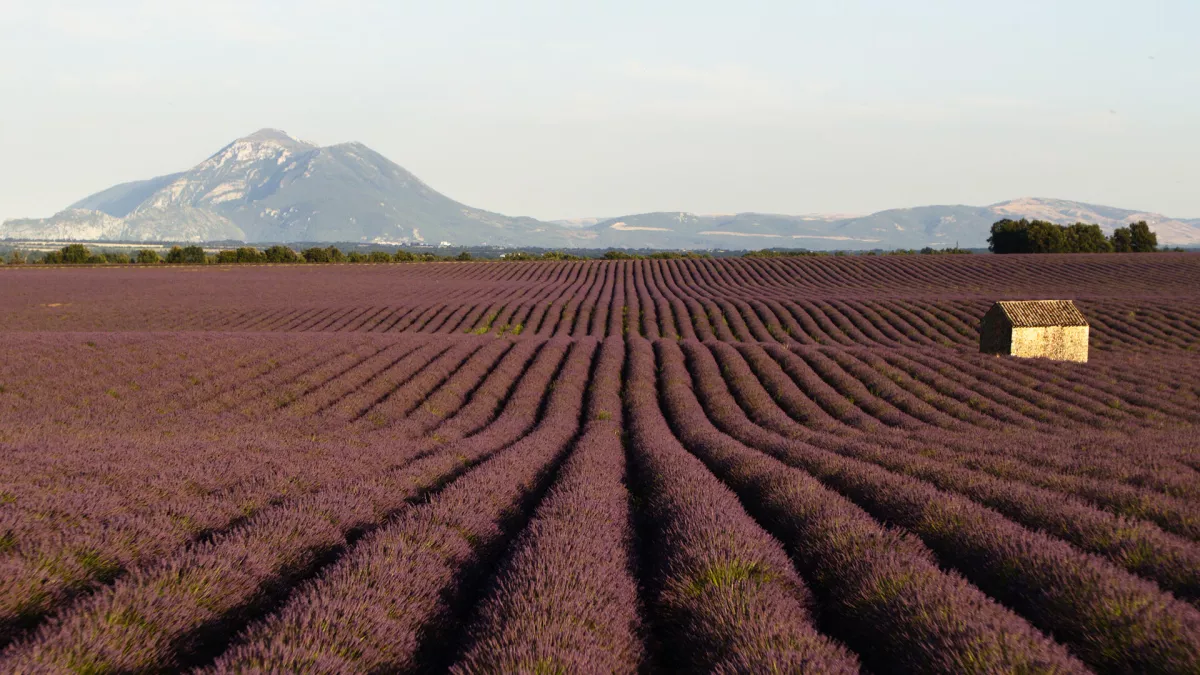 Fabuleuse Provence