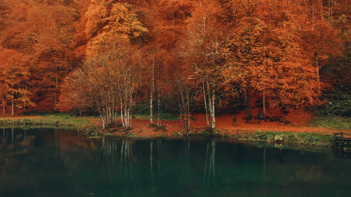 © Hope production - Calt production Voir l'automne, une saison en France