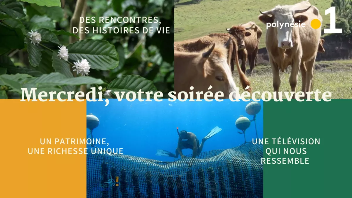 soirée découverte.jpg soirée découverte.jpg