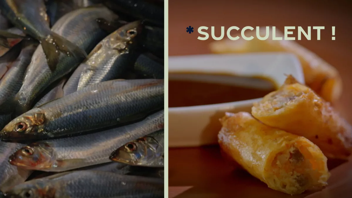 Succulent ! le hareng - crédit FTV le hareng, de la pêche à l'assiette, à cuisiner et déguster en toute simplicité
