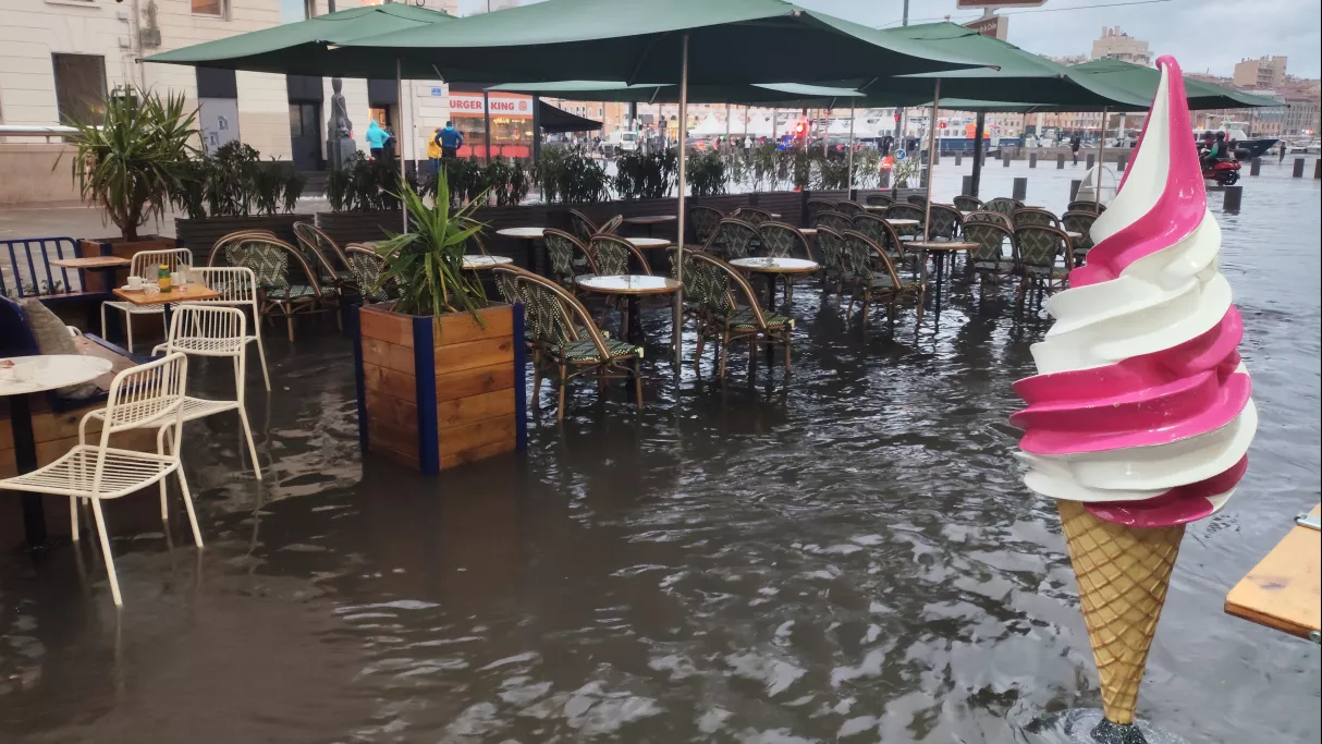 copyright Thierry Hugues.jpg