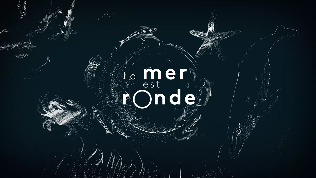 Header La mer est ronde