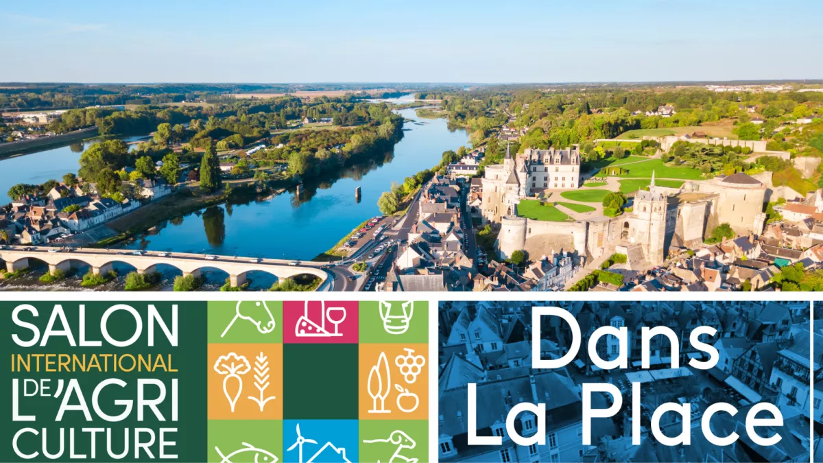 DLP amboise