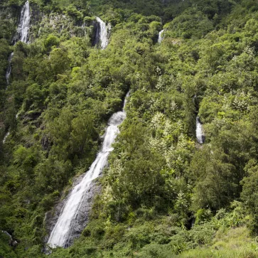 ILLUSTRATION - Réunion
