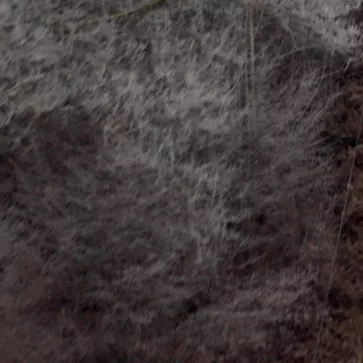 La conspiration du silence : saison 3