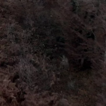 La conspiration du silence : saison 3