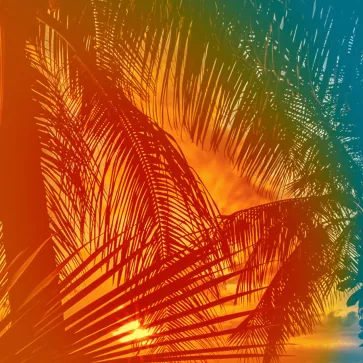 Festival Forum des Images 2025