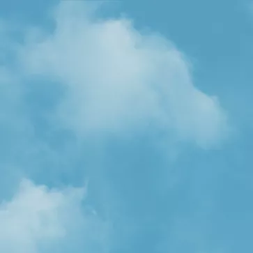 cannes vignette edito Virginie Effira 