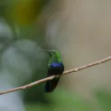 GUADELOUPE, DES CIMES A L'OCEAN