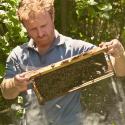 Documentaire : Réunion, l’ïle aux miel