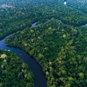 L'AMAZONE, FLEUVE-OCEAN