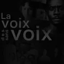 Webdocumentaire : La Voix des Sans Voix
