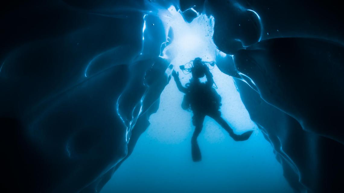 Plongée sous iceberg