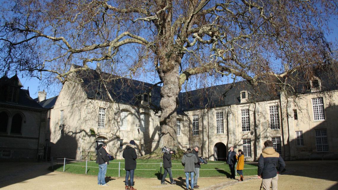 Photo de l'équipe d'HSDB sous l'arbre de la Liberté de Bayeux