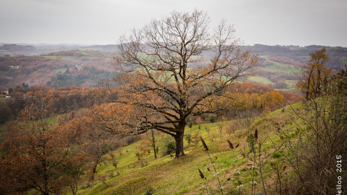 Yssandon en Corrèze