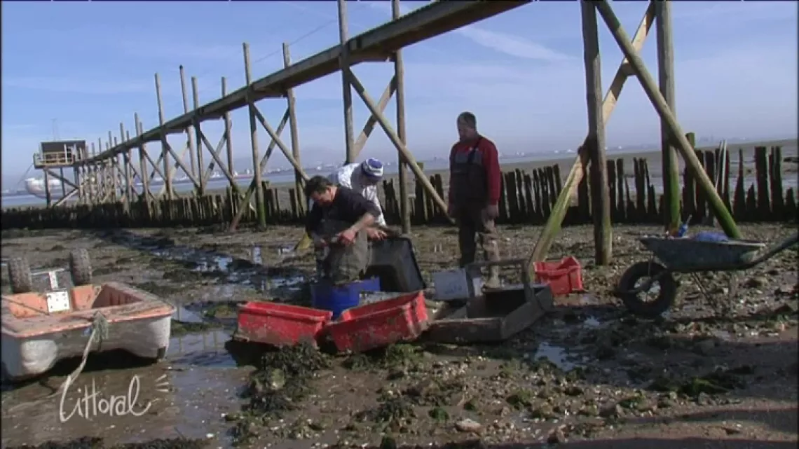 pêcherie 1
