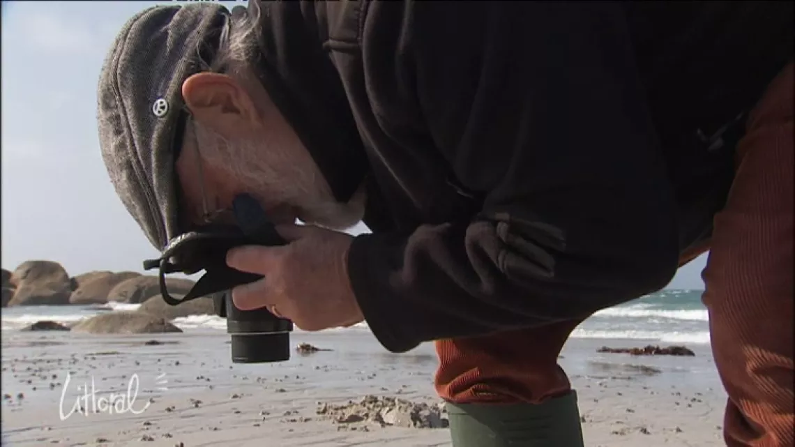 photographe
