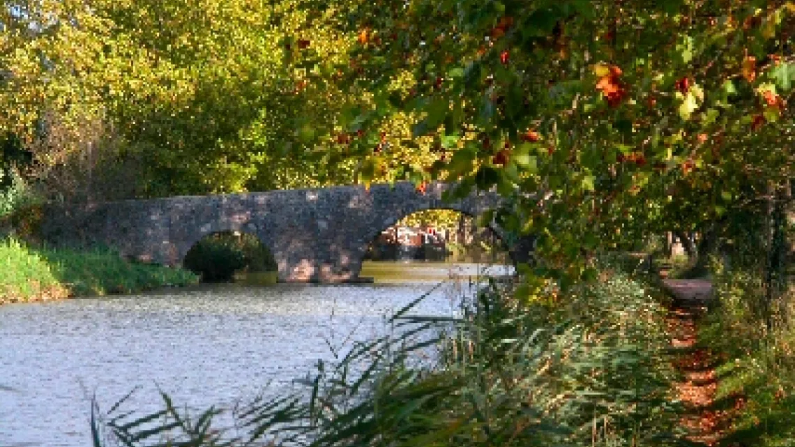 Le Pont des trois yeux entre Agde et Vias 