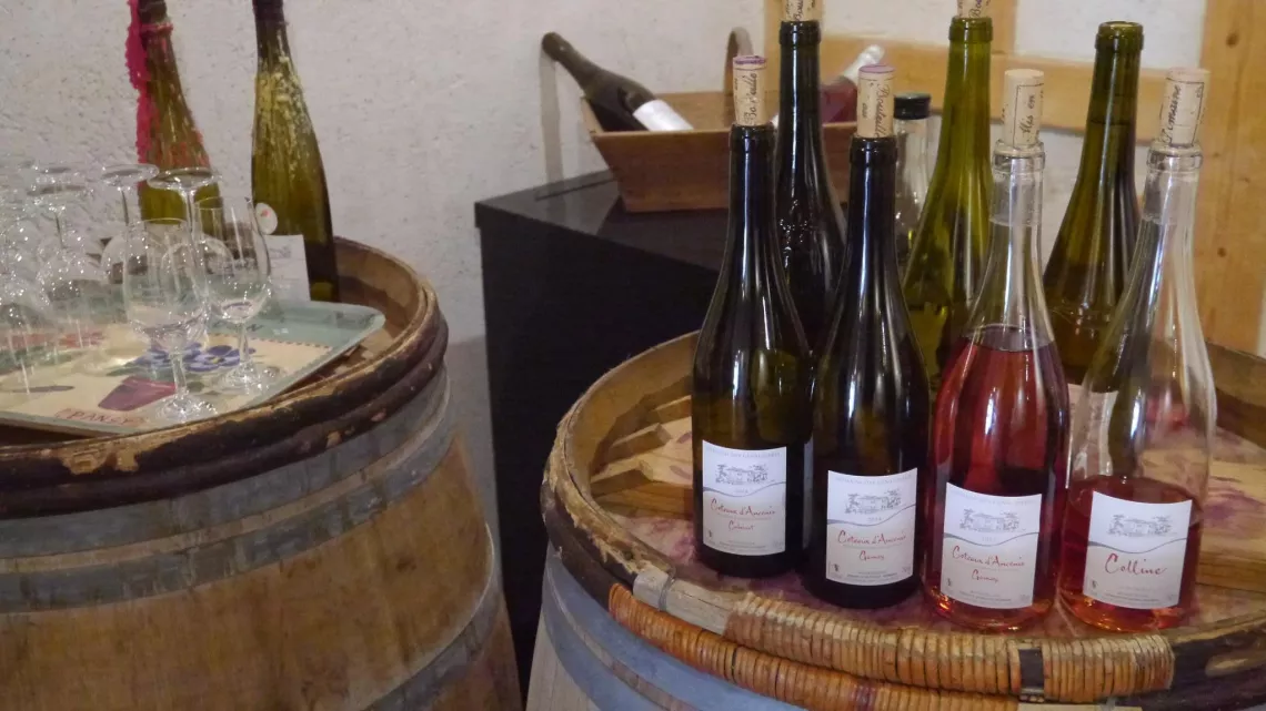 Coteaux d'Ancenis