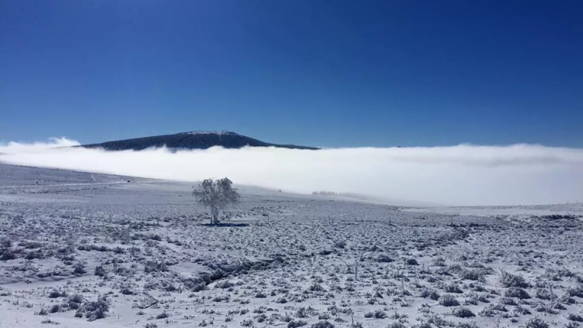 Le Mézenc