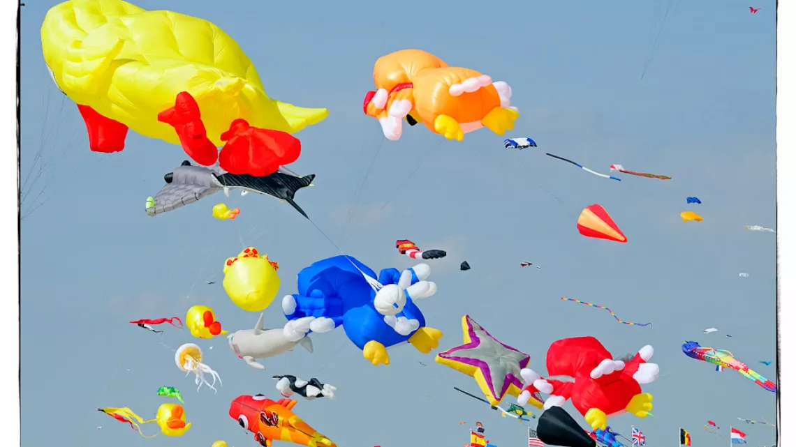 cerfs volants