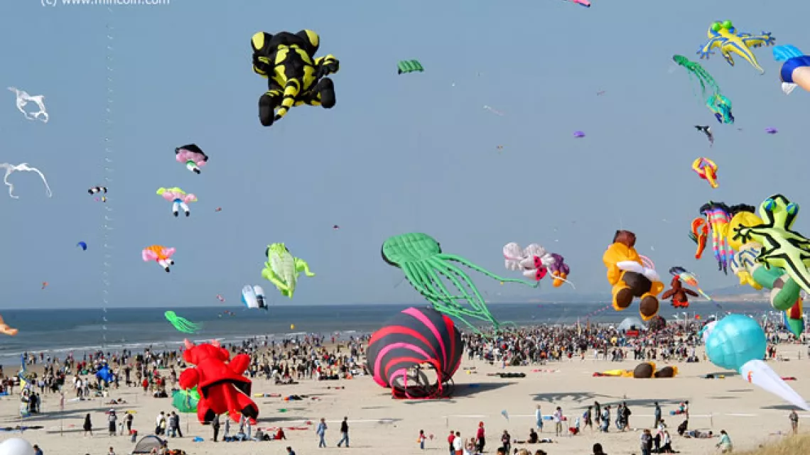 cerfs volants