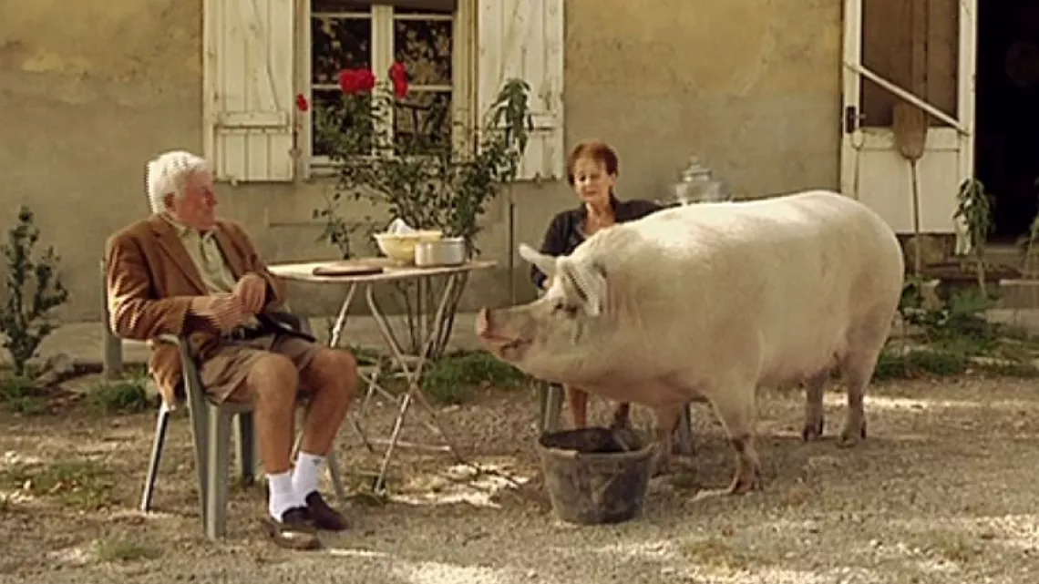 Un couple et son cochon