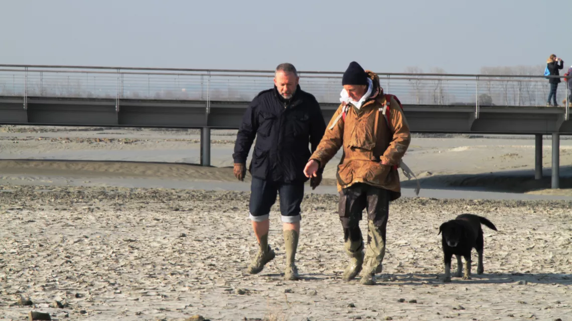 Promenade dans la Baie du Mont Saint Michel