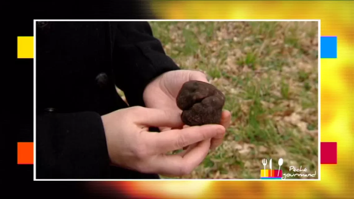 Truffe noire