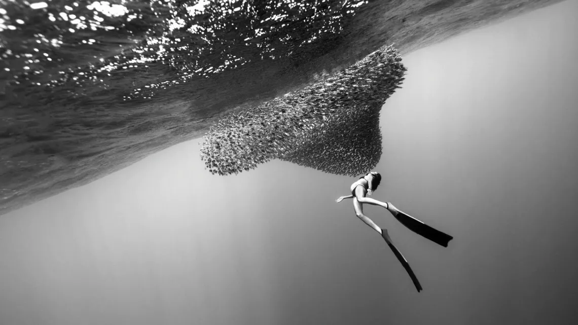 MERE OCEAN