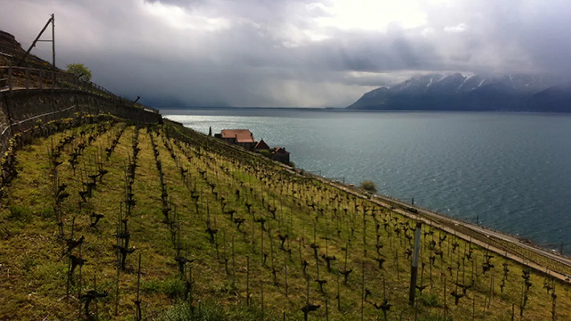Vaud