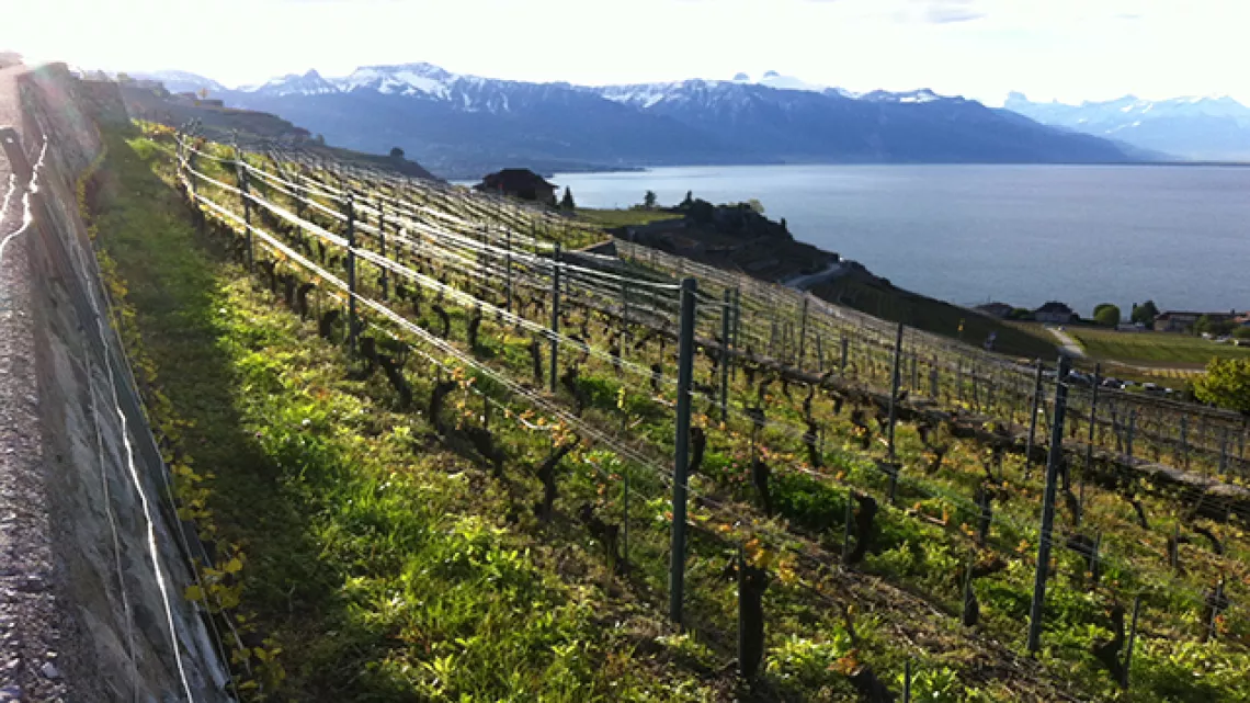 Vaud