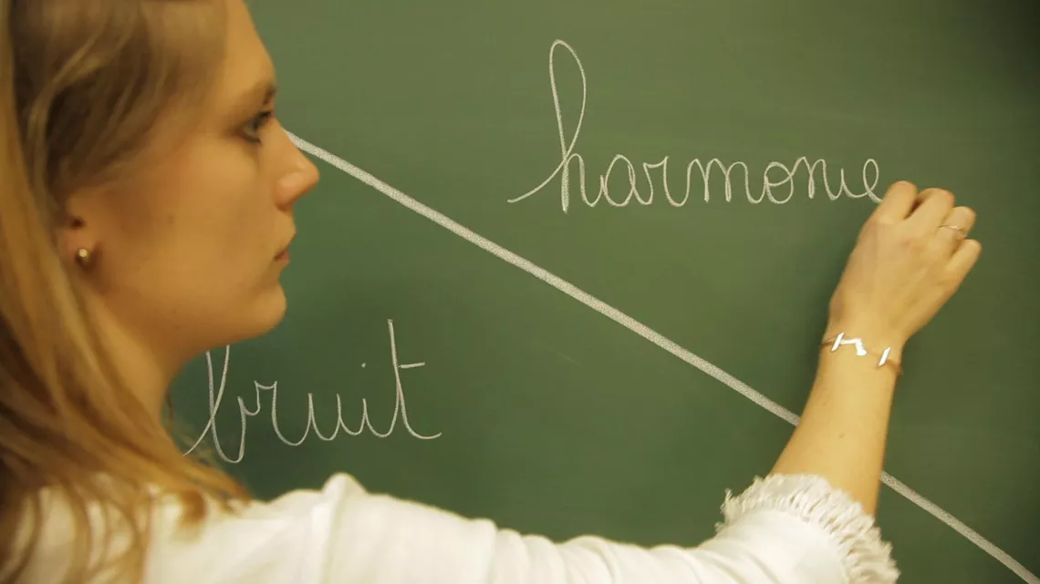 POURQUOI TANT DE BRUIT ?