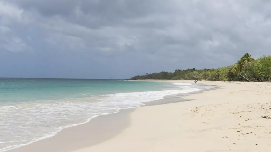 ILLUSTRATION MARTINIQUE-Plage des Salines