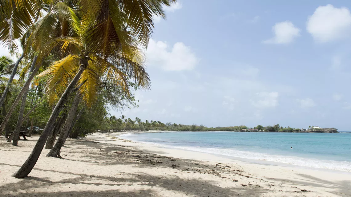 ILLUSTRATION MARTINIQUE-Plage des Salines