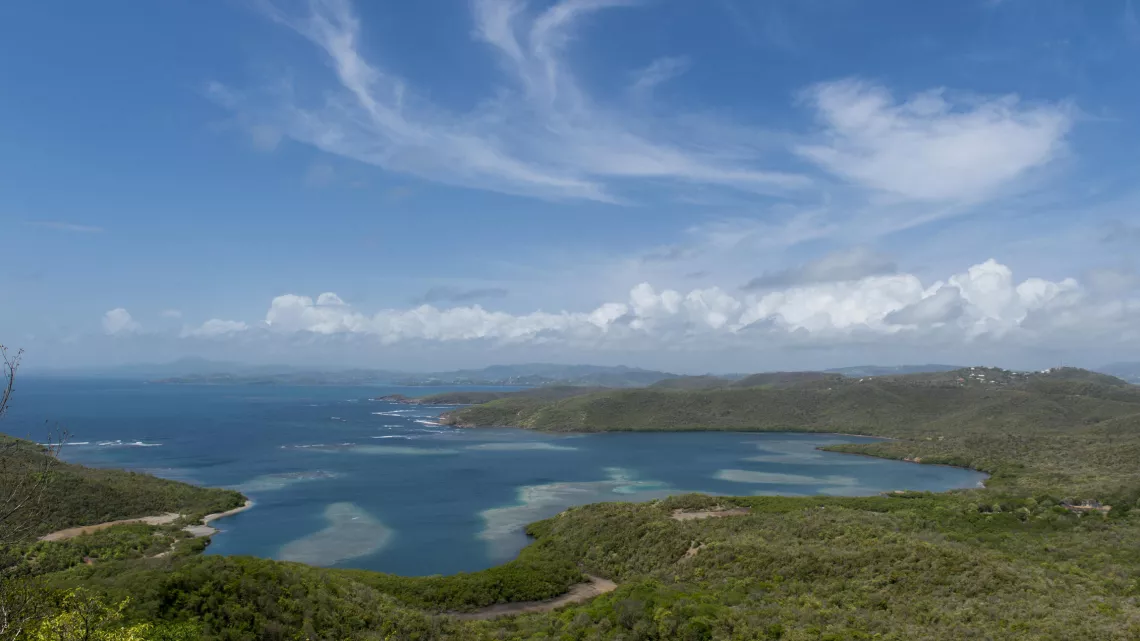ILLUSTRATION MARTINIQUE : Presqu'île de la Caravelle