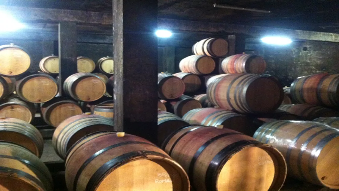 Dijon, terre de vins