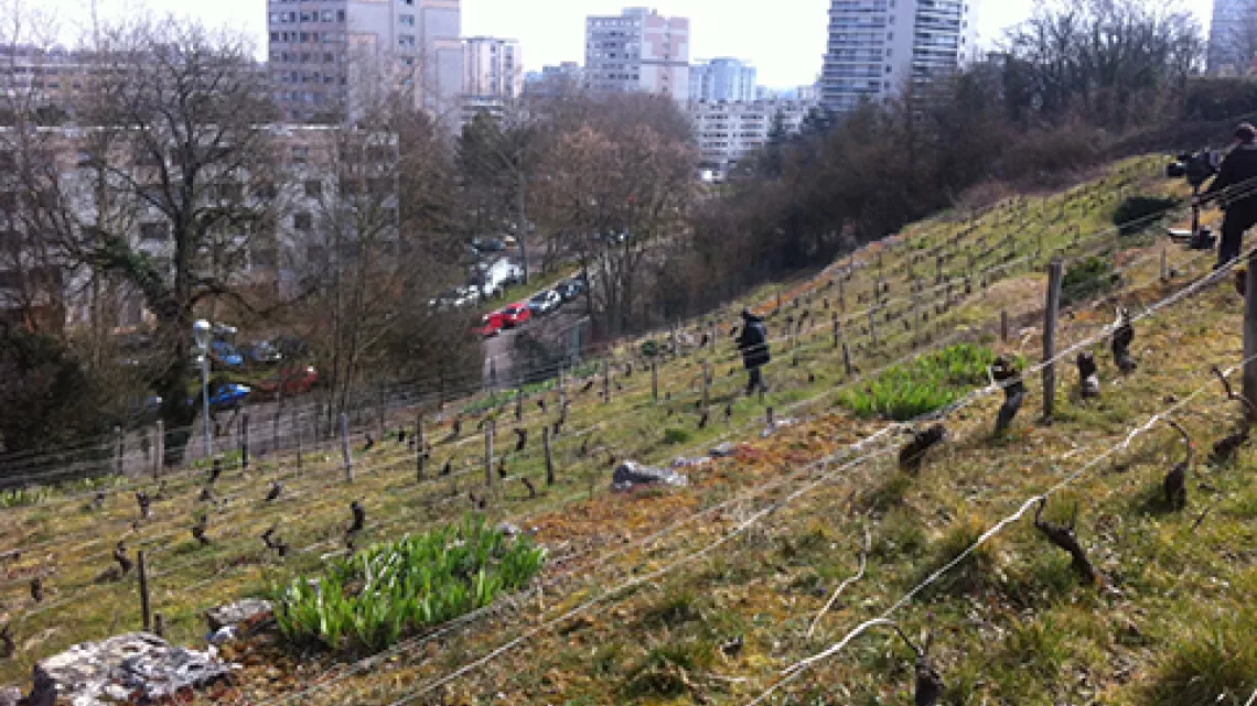 Les Marcs d'Or