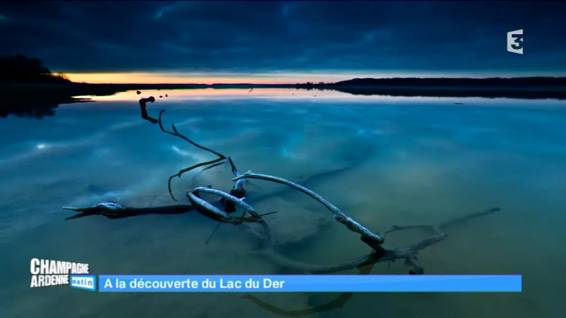 Coucher de soleil sur le lac du der