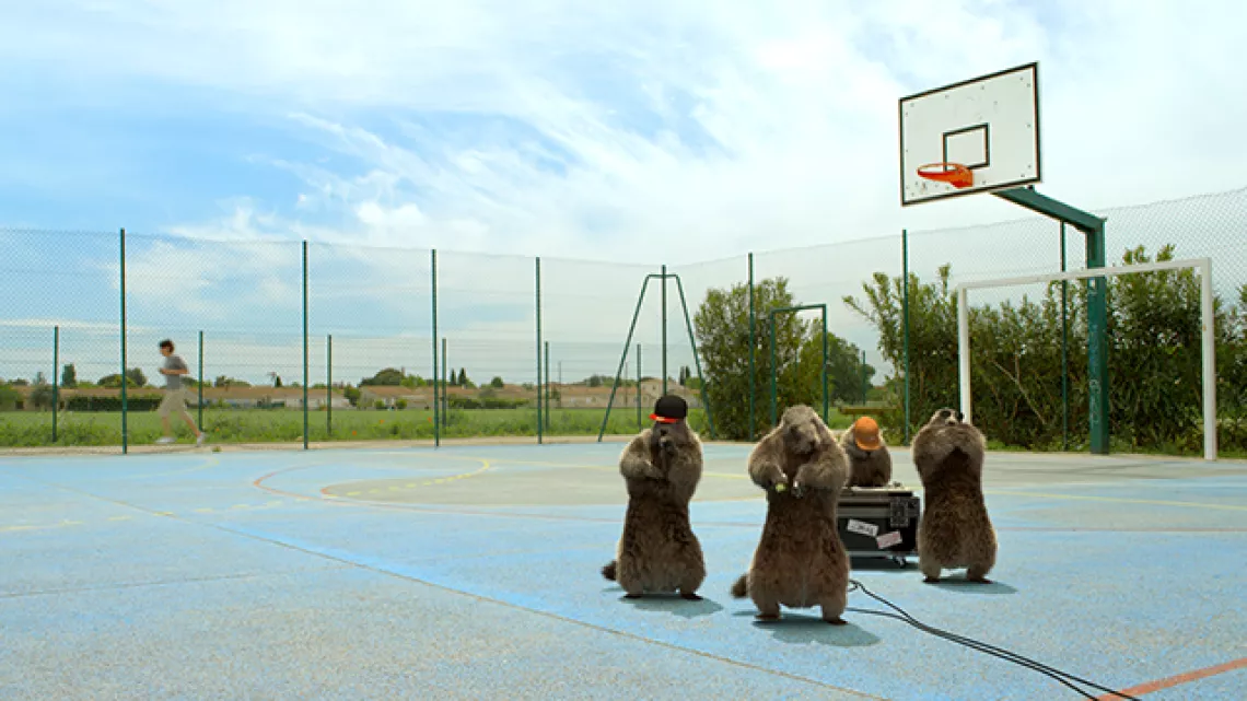Marmottes HipHop