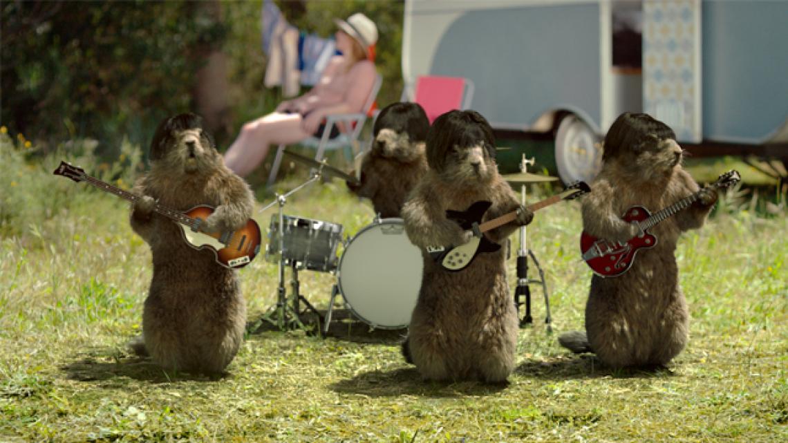 Marmottes Beatle