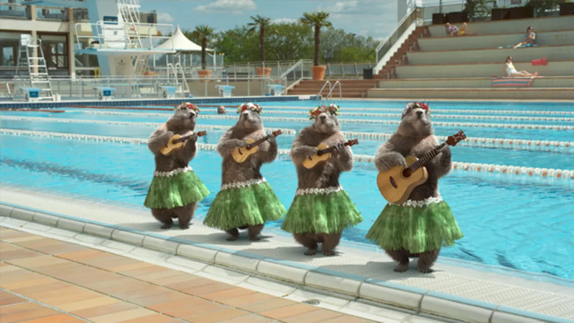 Marmottes Vahiné