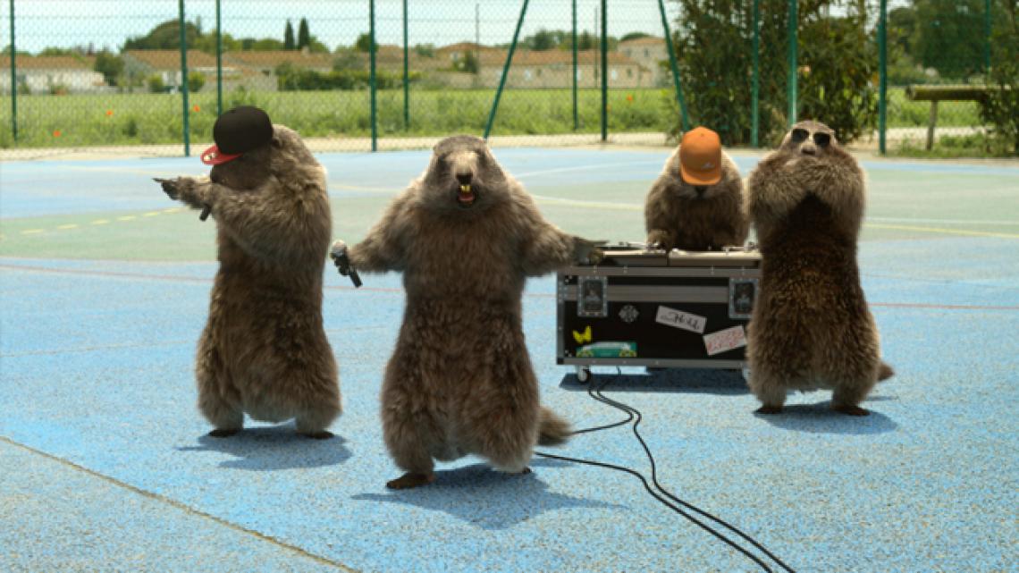 Marmottes Hip Hop
