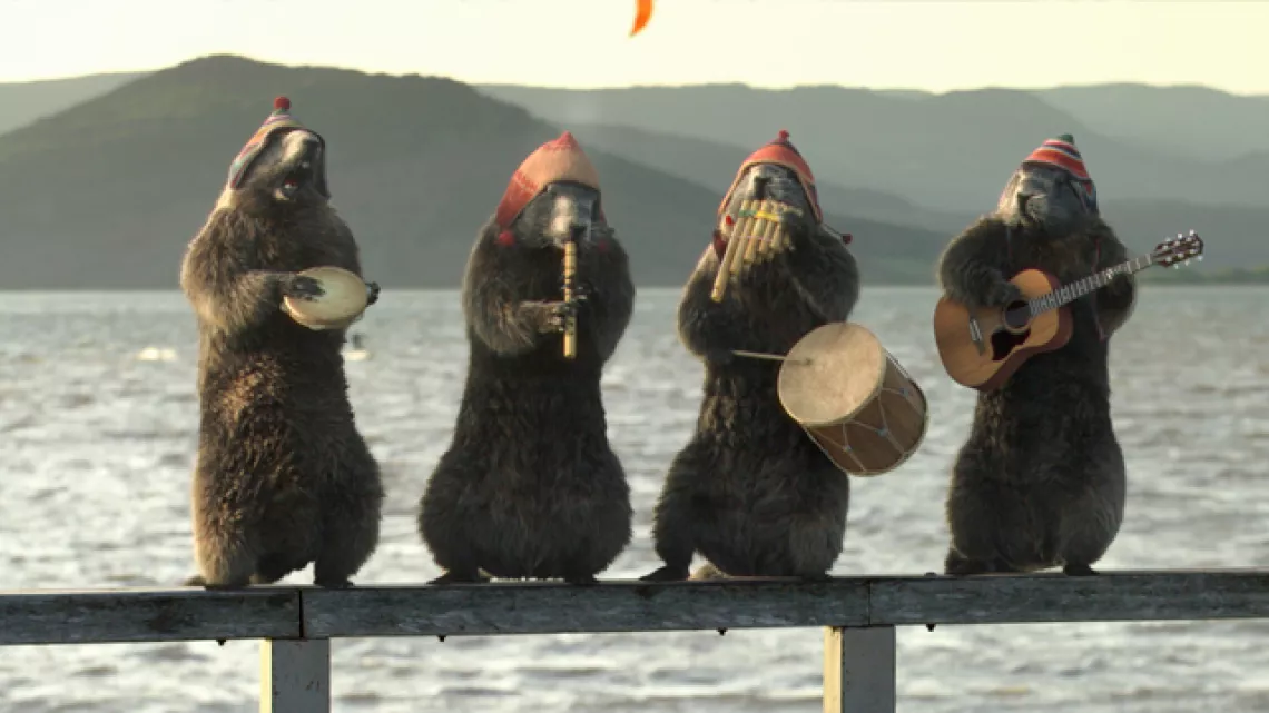 Marmottes Perou