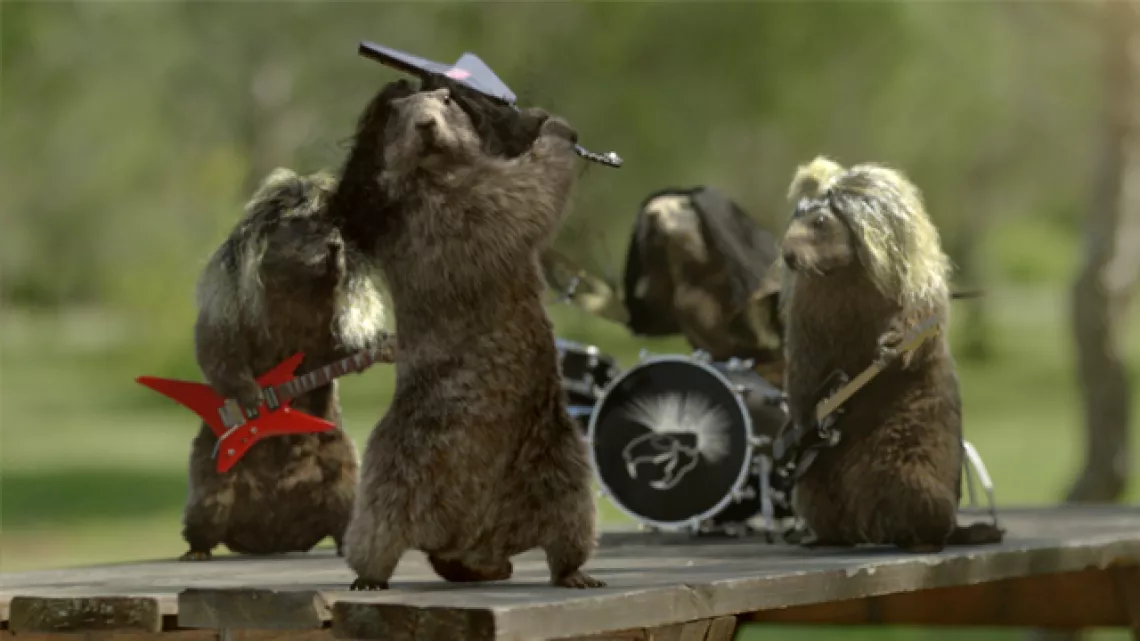 Marmottes Rock