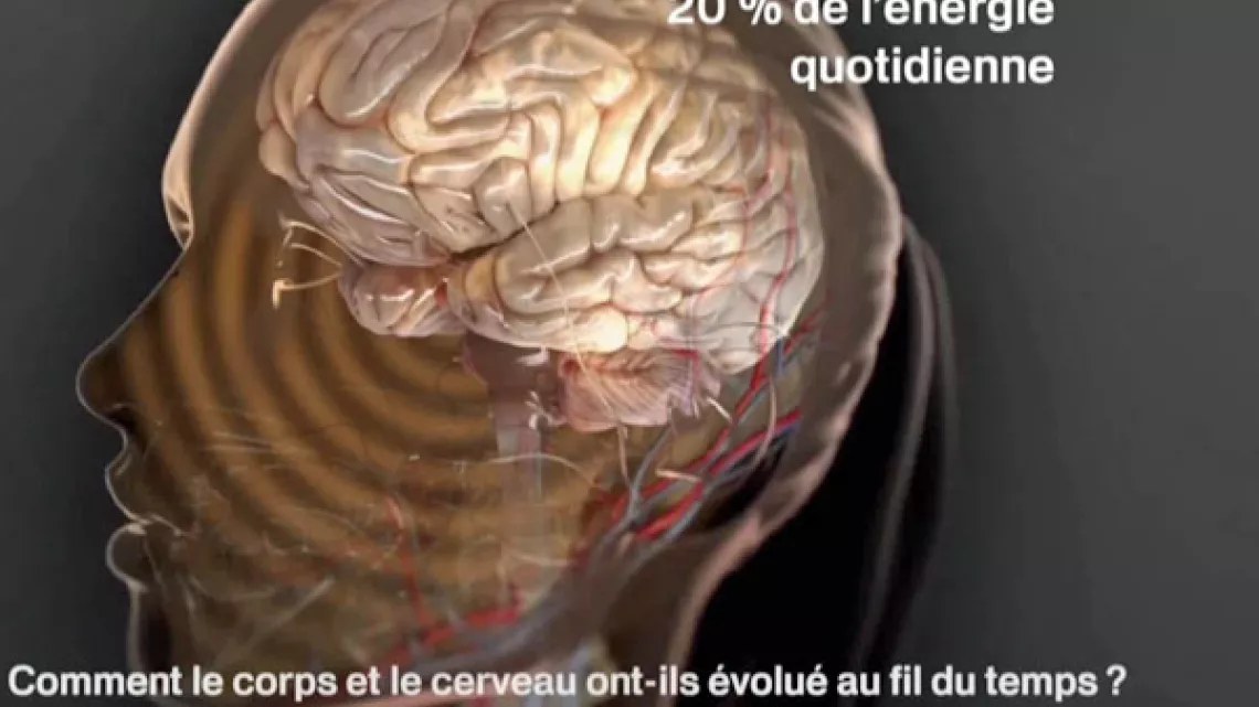 LES POUVOIRS EXTRAORDINAIRES DU CORPS HUMAIN - LES SUPER POUVOIRS DU CERVEAU