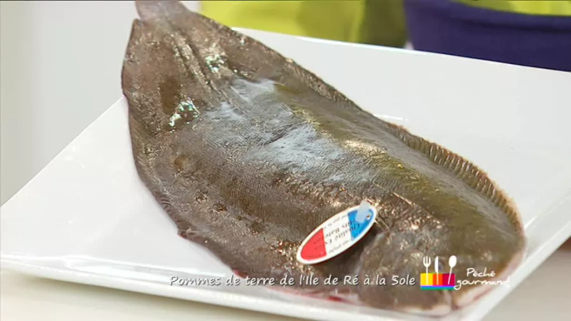 Sole