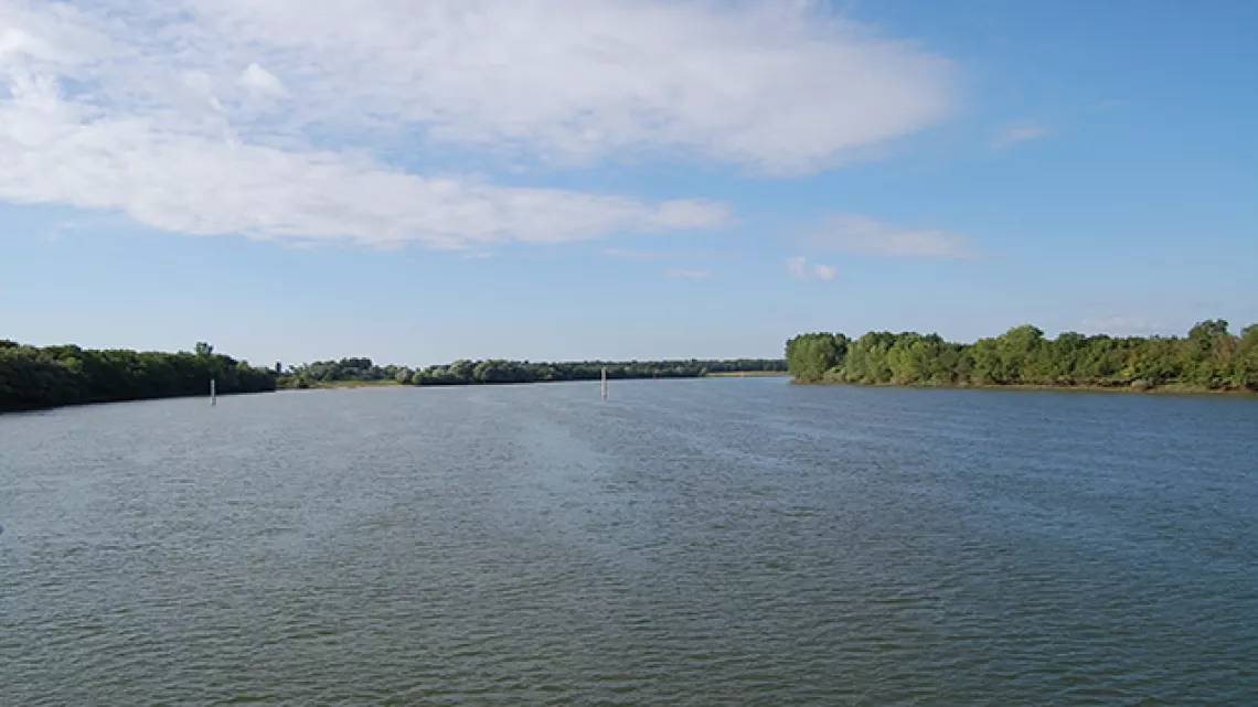 La grande Saône